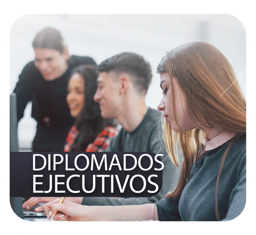 DIPLOMADOS EJECUTIVOS