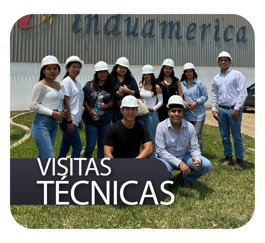 VISITAS TECNICAS
