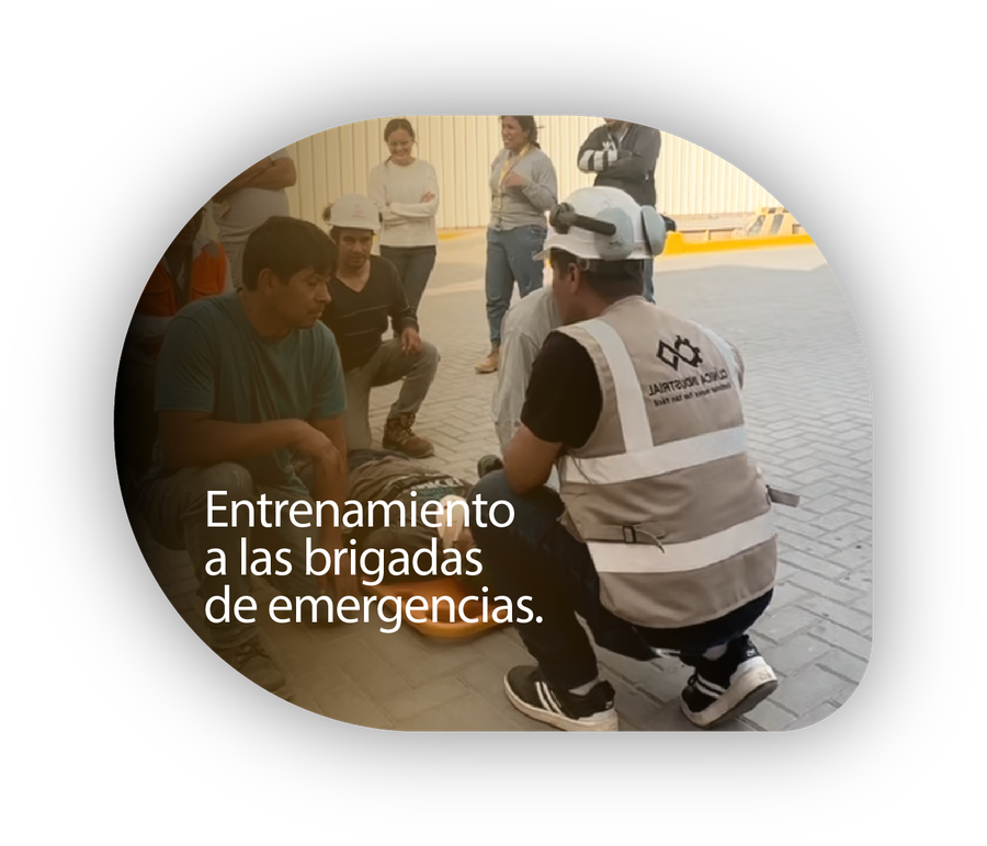 Entrenamiento a las brigadas de emergencias.