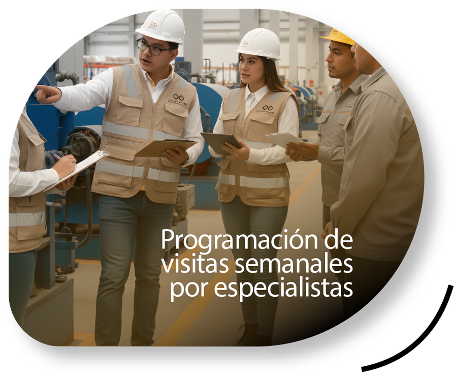 Programación de visitas semanales por especialistas