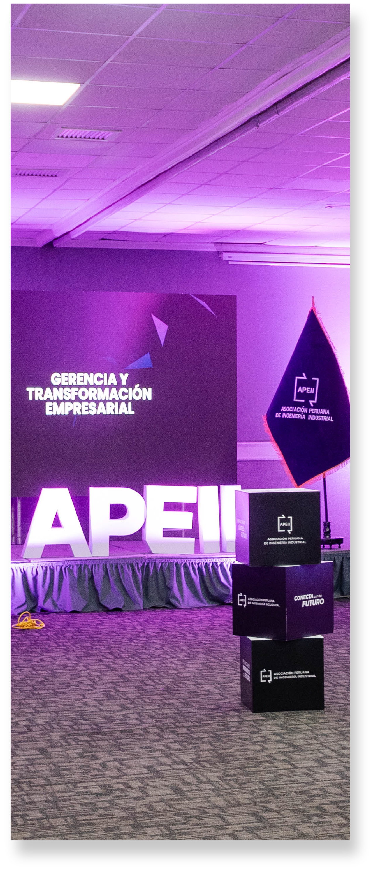 ALIADOS ESTRATÉGICOS NACIONALES E INTERNACIONALES