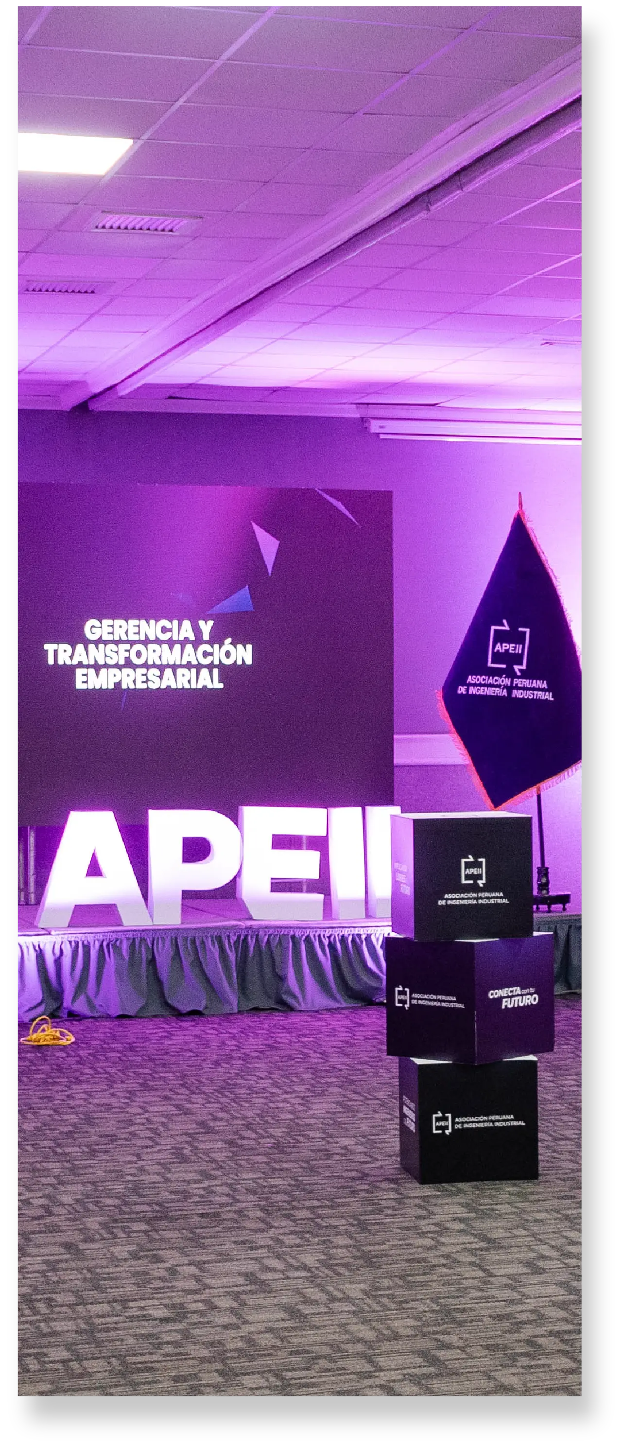 ALIADOS ESTRATÉGICOS NACIONALES E INTERNACIONALES